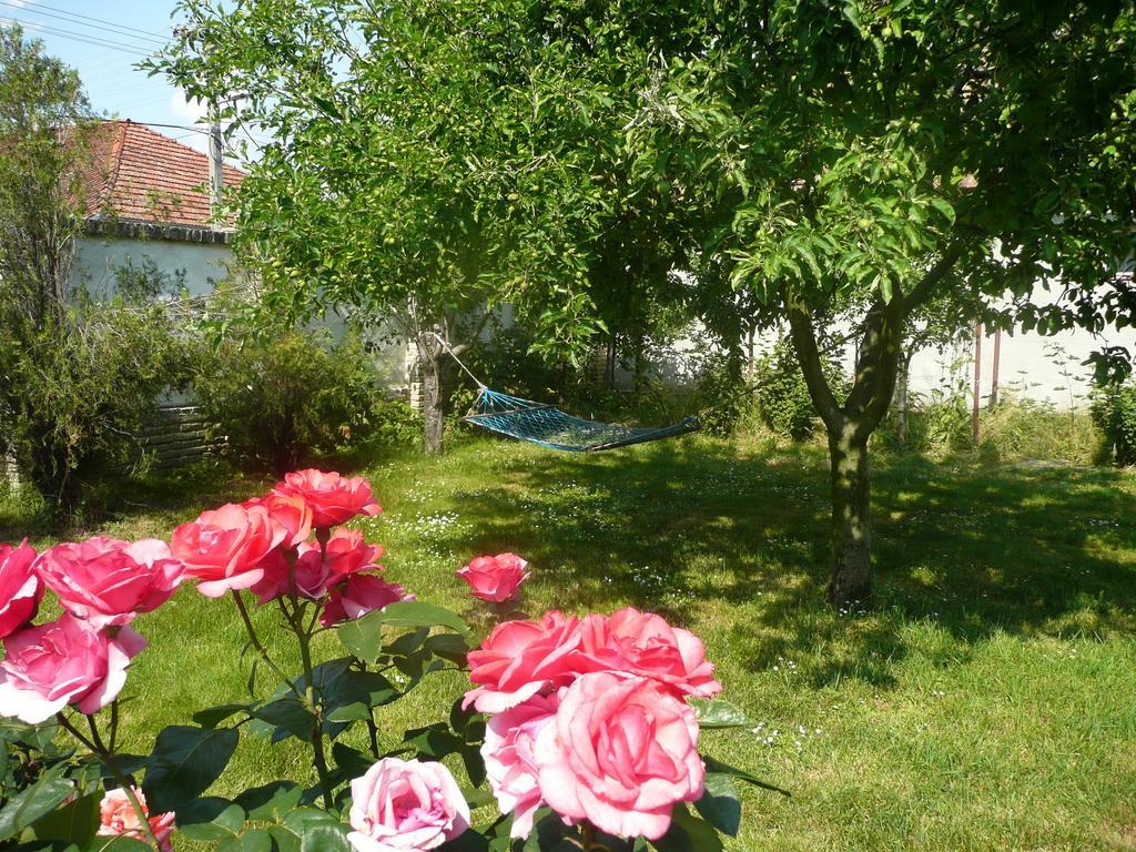 Guest House Tisza Haz Senta المظهر الخارجي الصورة