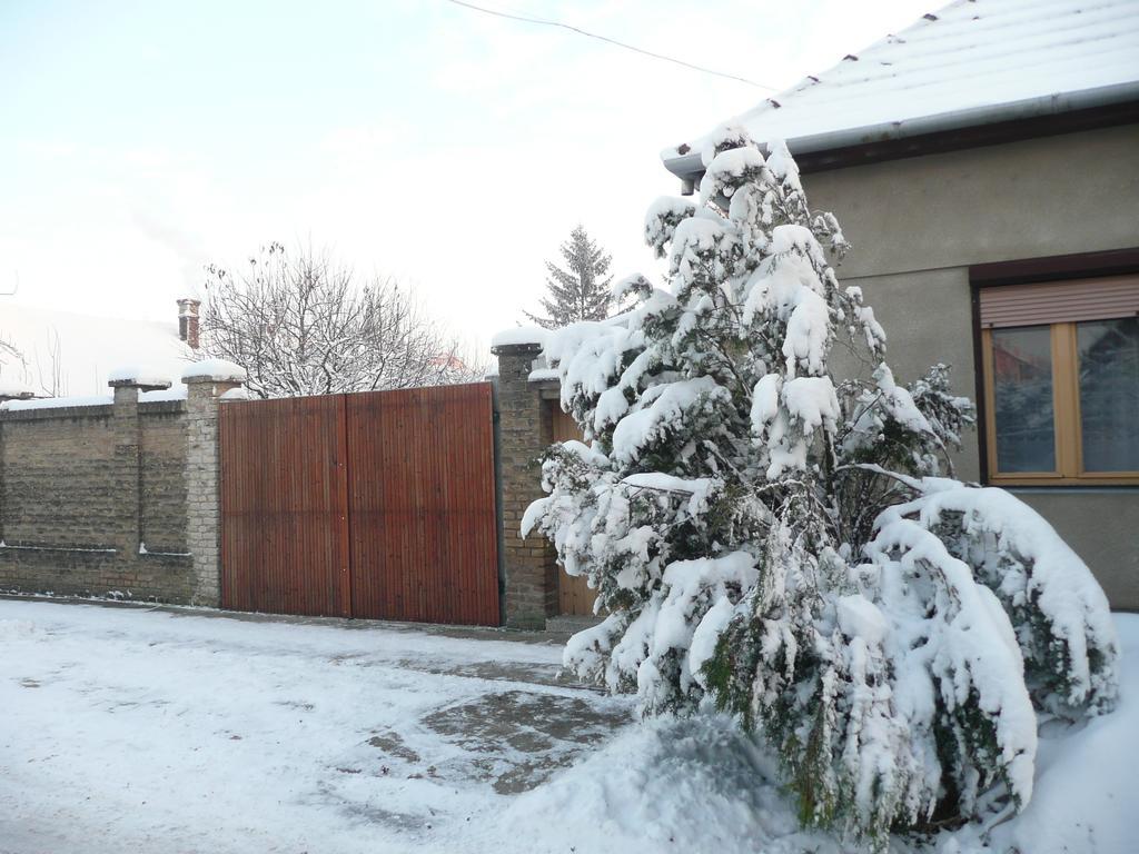 Guest House Tisza Haz Senta المظهر الخارجي الصورة