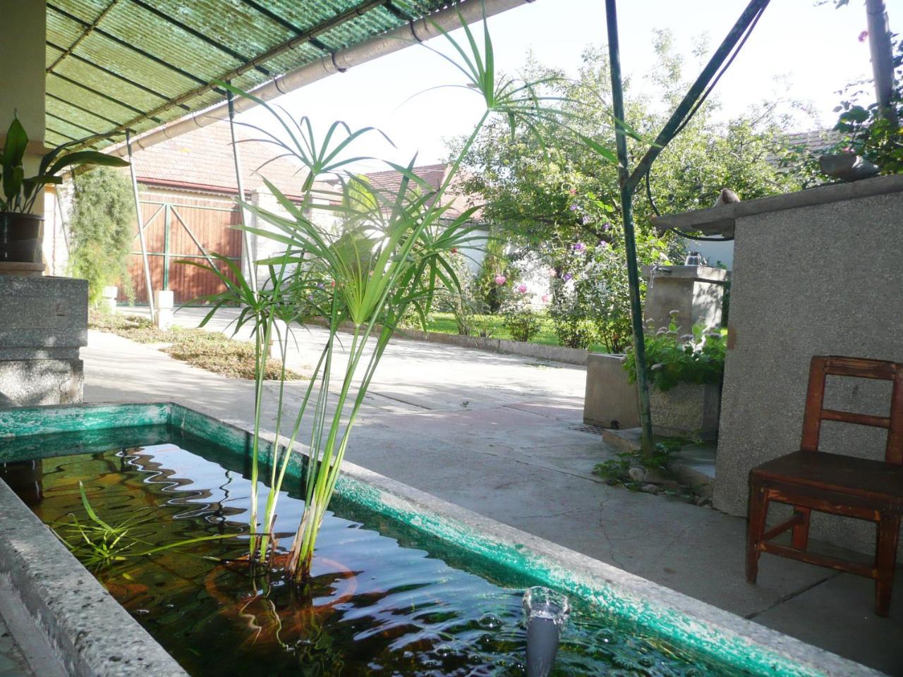 Guest House Tisza Haz Senta المظهر الخارجي الصورة